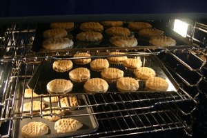 Type II Heat and Steam Oven Example